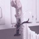 阿门前的葡萄树的个人资料头像