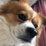 伟娓道来头像