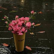 你快别搞笑了的个人资料头像