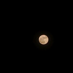 星陈影院头像