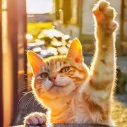 小幸运955的个人资料头像