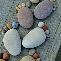 🕊楊先生🎍头像