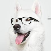 orwater的个人资料头像