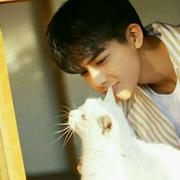 闹笑太阳的个人资料头像