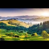 用户9835401847735头像