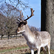 南瓜青年的个人资料头像