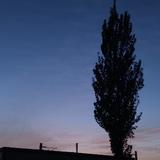夜明风月头像