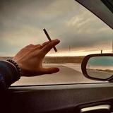 正直小猫zqw头像