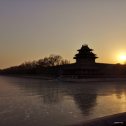 希言自然的个人资料头像