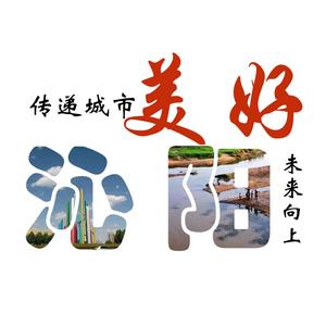 美好沁阳头像