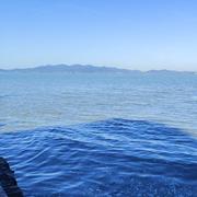 大饼就小米的个人资料头像