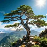 鑫悦汽配小店头像