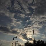 芣苡情感语录头像