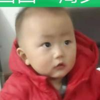 执着的雪梨b0头像