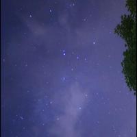 唯暗香幽幽头像