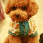 duangduang195的个人资料头像