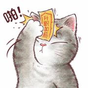 asu360的个人资料头像