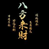2024帕萨特头像