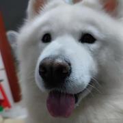 你妈夸我长de帅的个人资料头像