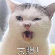 黎戈榧丶头像