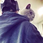 a湛湛的个人资料头像