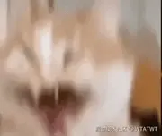 CJDJB的个人资料头像