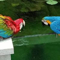 运筹帷幄的白云头像