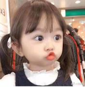 橘猫今天还胖吗的个人资料头像