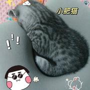 卷儿发_Crazy的个人资料头像