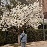 爱摇滚的小武的个人资料头像