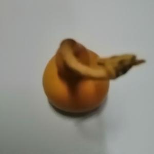 少龙影视剪辑头像