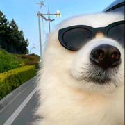 liuyl的个人资料头像