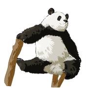 marsprawn的个人资料头像