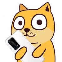 冰墩墩云南分墩头像