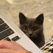 Garritsen的个人资料头像