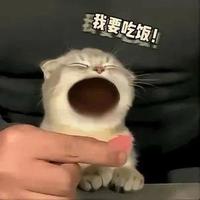 干了这碗老坛酸菜头像