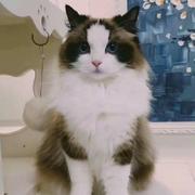 魏希夷的个人资料头像