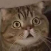 好名字345的个人资料头像