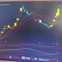 牛市四两拨千金哥头像