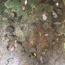 残月圣符的个人资料头像