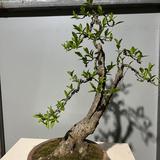15996858686头像