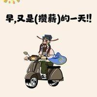 深蓝色的维特头像