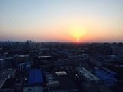 Minoss的个人资料头像