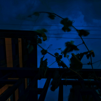 念的呱呱呱头像