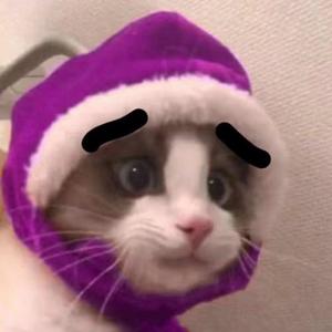 CODM昕泽头像