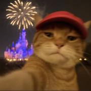 兜里有米991的个人资料头像