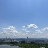 洛克4085头像