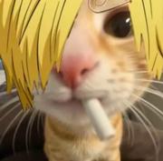 哈基不哈的个人资料头像