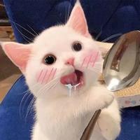 大手抓饼461头像