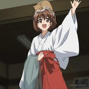 一只狗尾草的个人资料头像